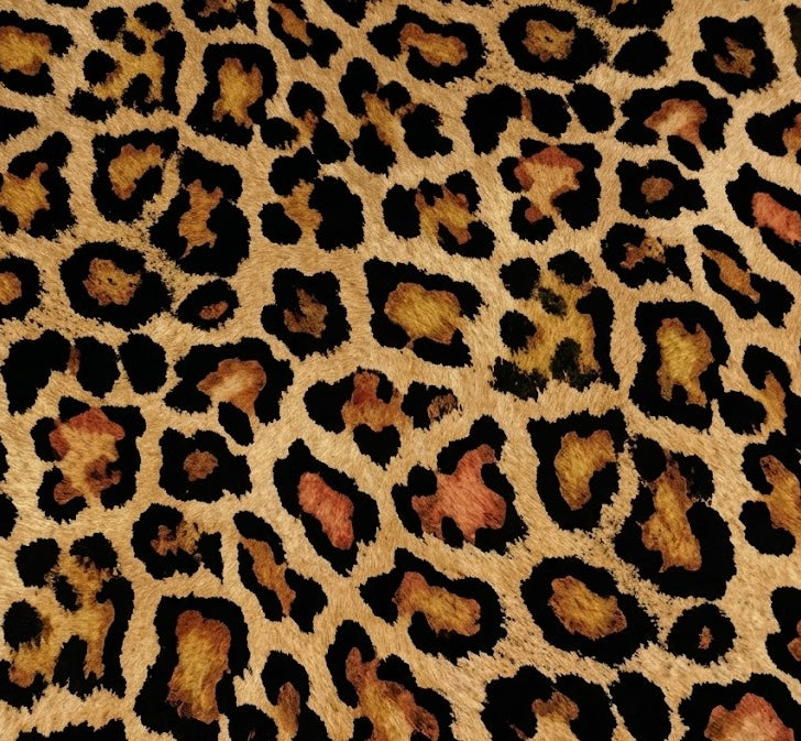 Coastal 1776 Women's Leopard Crop Tee